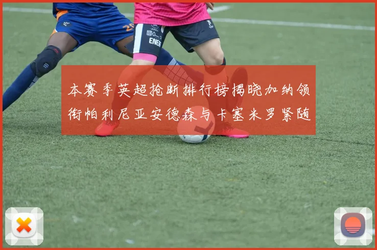 本赛季英超抢断排行榜揭晓加纳领衔帕利尼亚安德森与卡塞米罗紧随其后